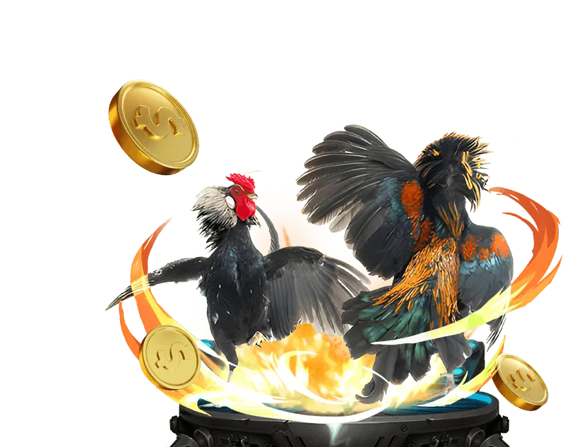 Đăng ký sao 789 để chơi đá gà